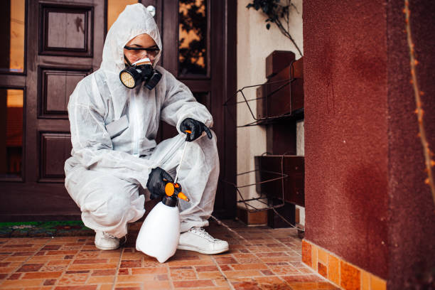 Reliable Bed Bug Control contractor in Bethlehem Village, CT by Nex Pest Control
